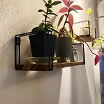Vecchia Vesuvio 4*