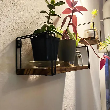 Vecchia Vesuvio 4*