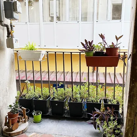 Vecchia Vesuvio 4*