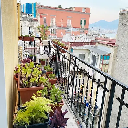 Frühstückspension Vecchia Vesuvio
